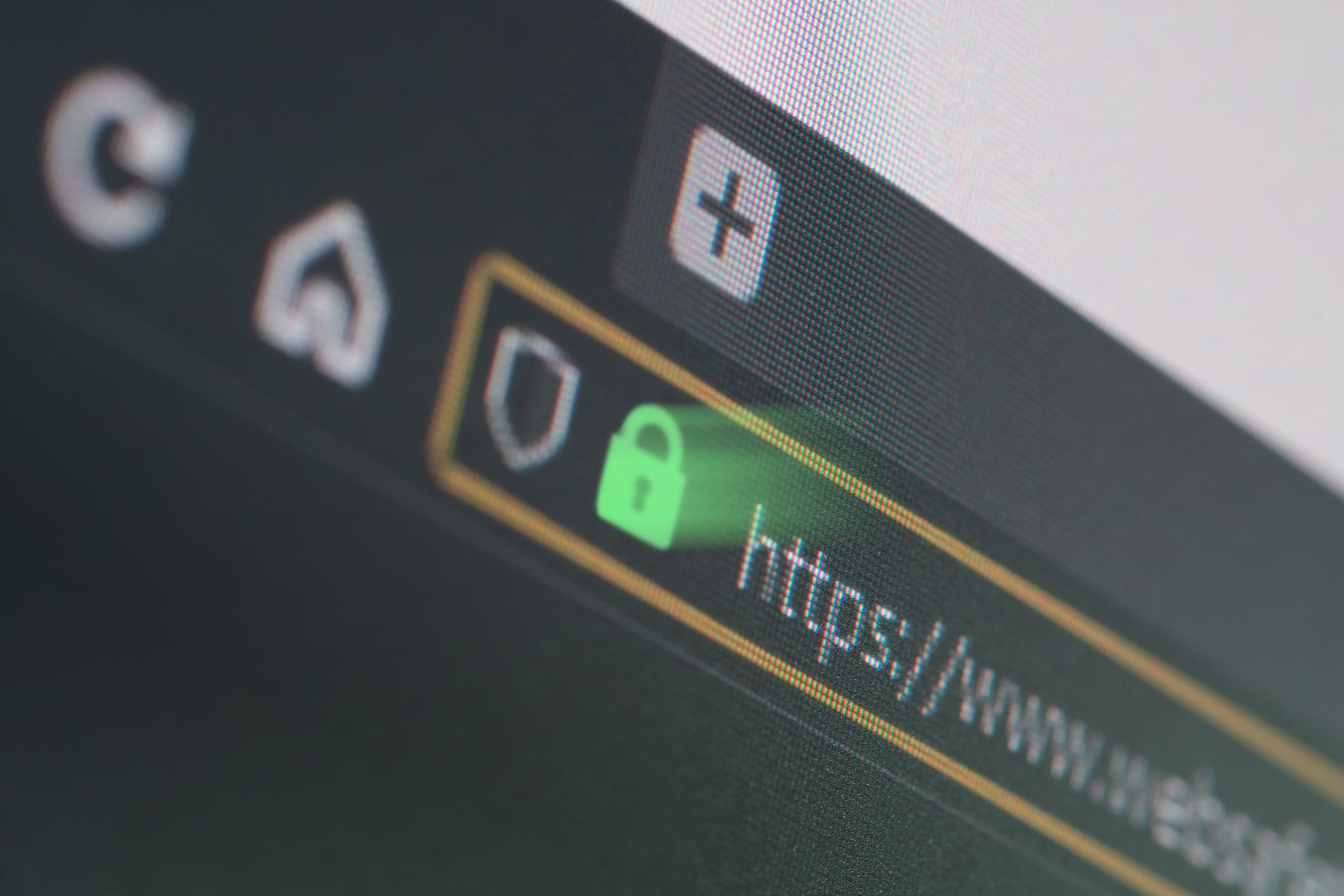 Website security protecting your online presence